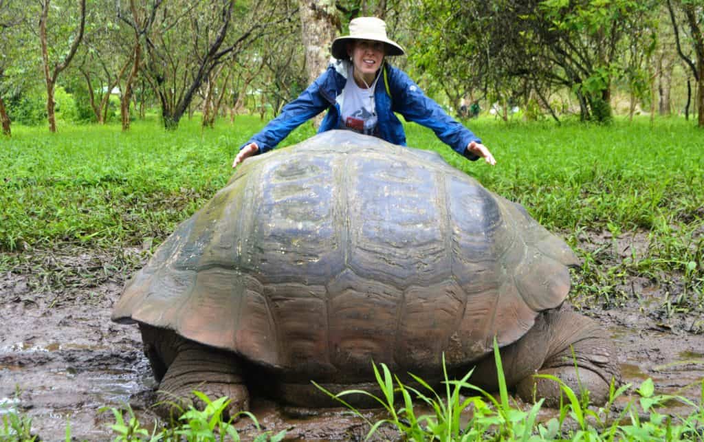 Picture of Stephanie standing behind a giant tortoise
