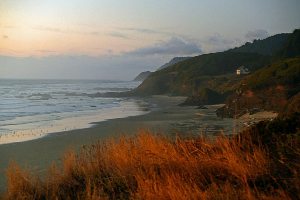 A wild beach at sunset