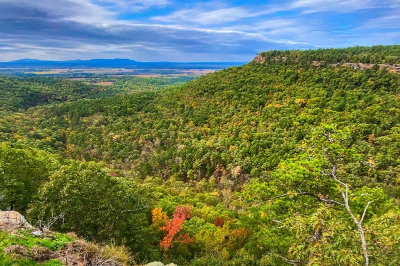 A forested mountainside with trees changing to autumn colors