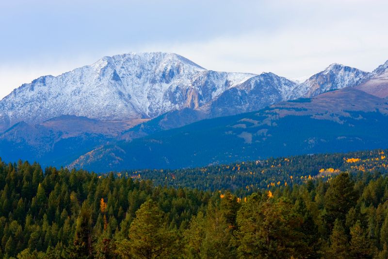 snow-capped mountains with trees in the foreground