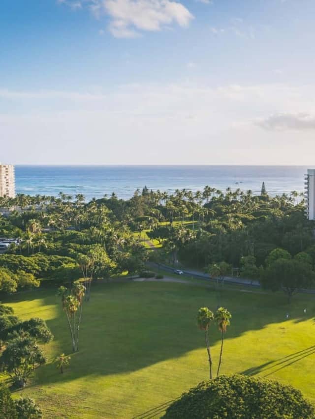 Aerial photo of an oceanfront hotel surrounded by greenery