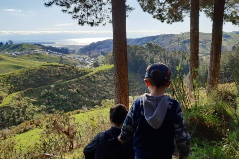 Two young boys walking down a hill