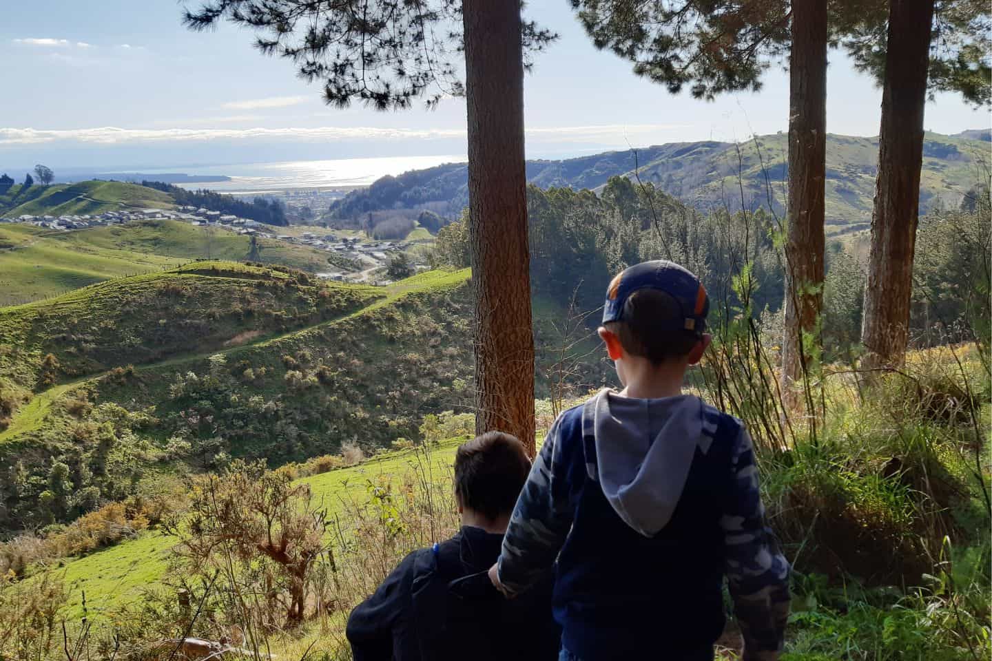 Two young boys walking down a hill