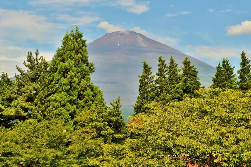 Summer view of Mt. Fuji with no snow cap 