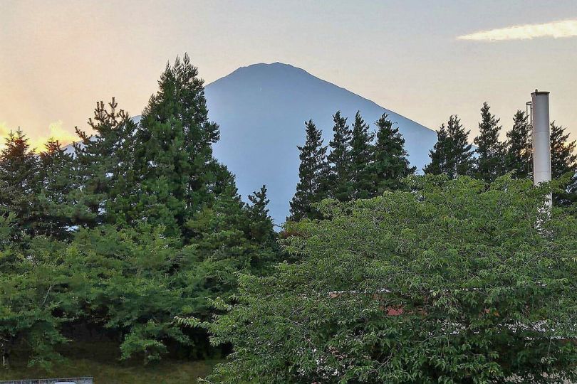 Mount Fuji seen through trees