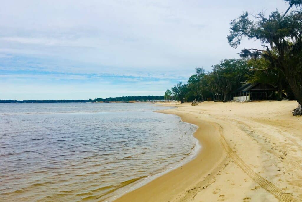 A stretch of yellow sand with woods behind it