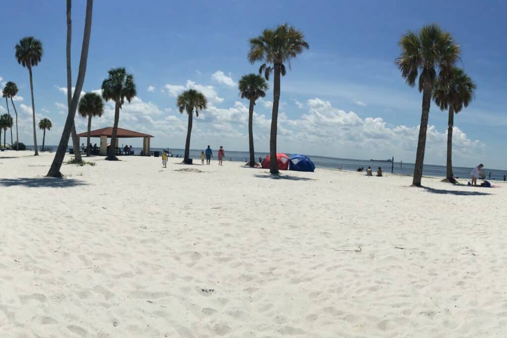 A white sand beach dotted with palm trees