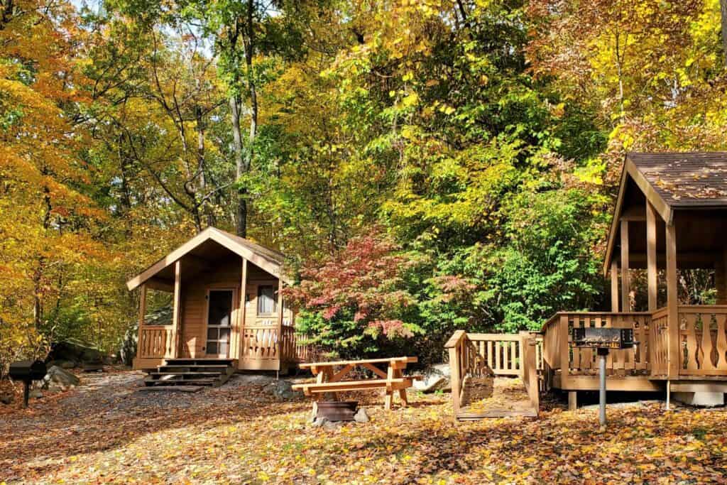 Two small cabins surrounded by autumn leaves