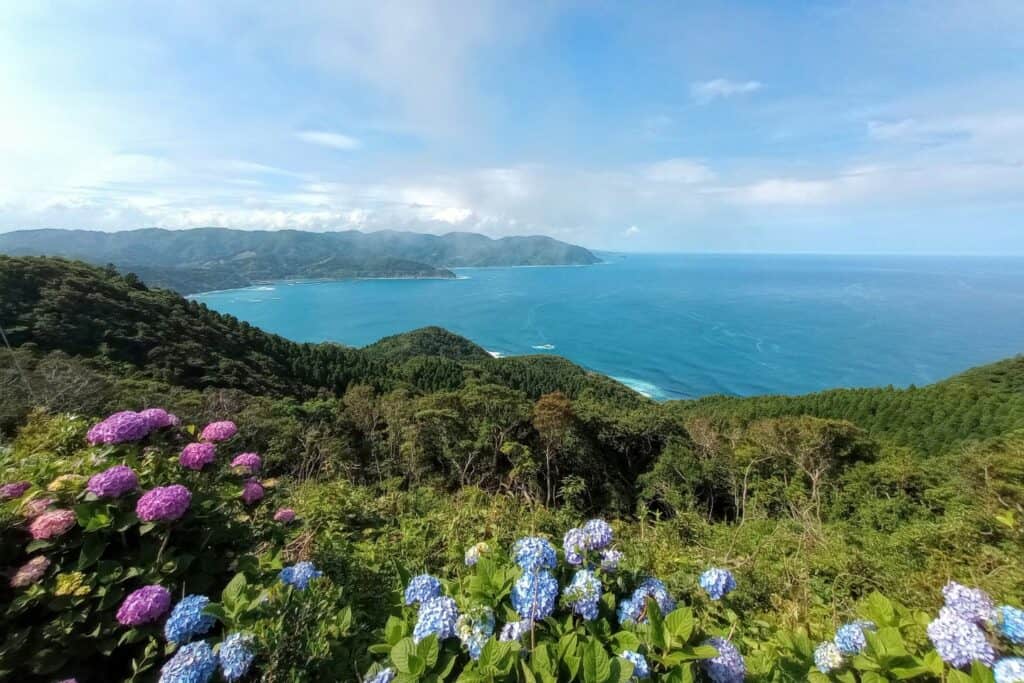 A mountainous coastline with colorful flowers in the foreground
