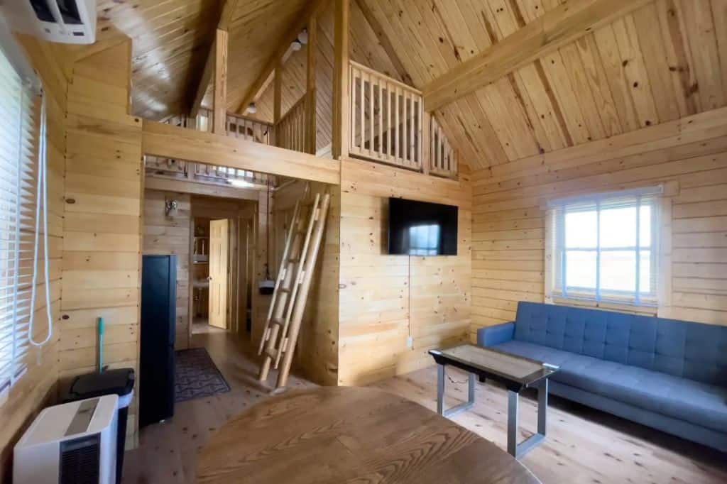 A wooden cabin with a blue couch and a ladder leading up to a loft