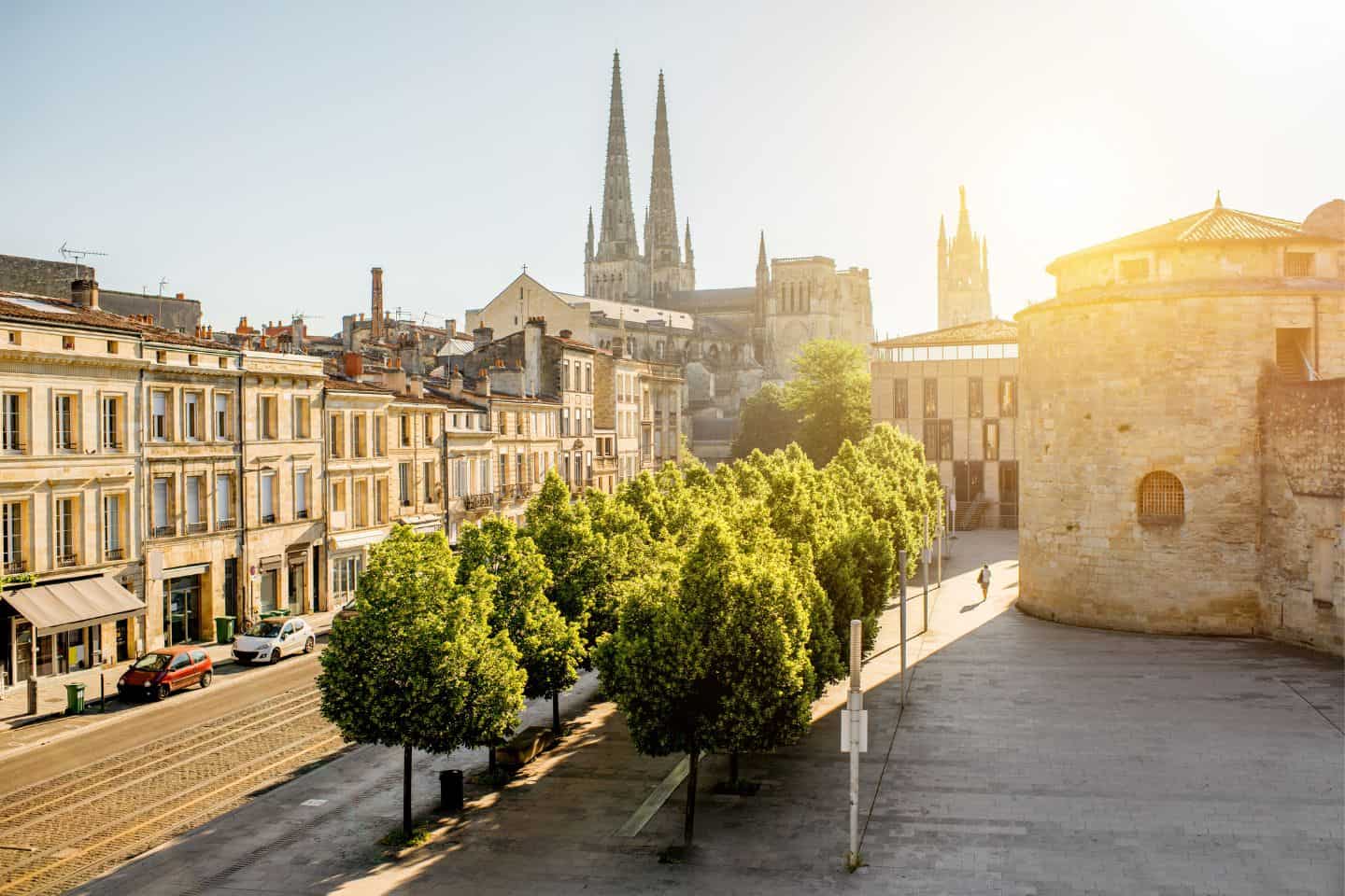 A tree-lined street with stone cathedral in the background