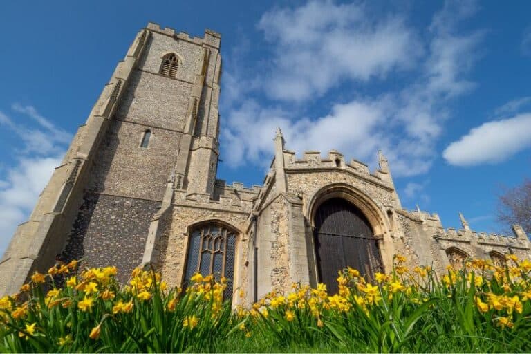 yellow flowers in front of a stone church