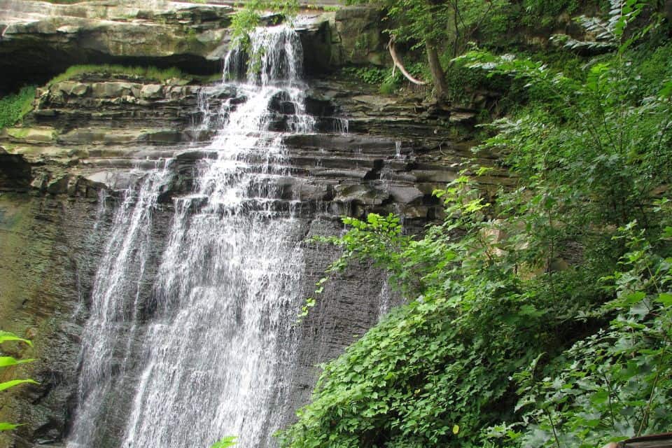 water cascading down rocks surrounded by greenery