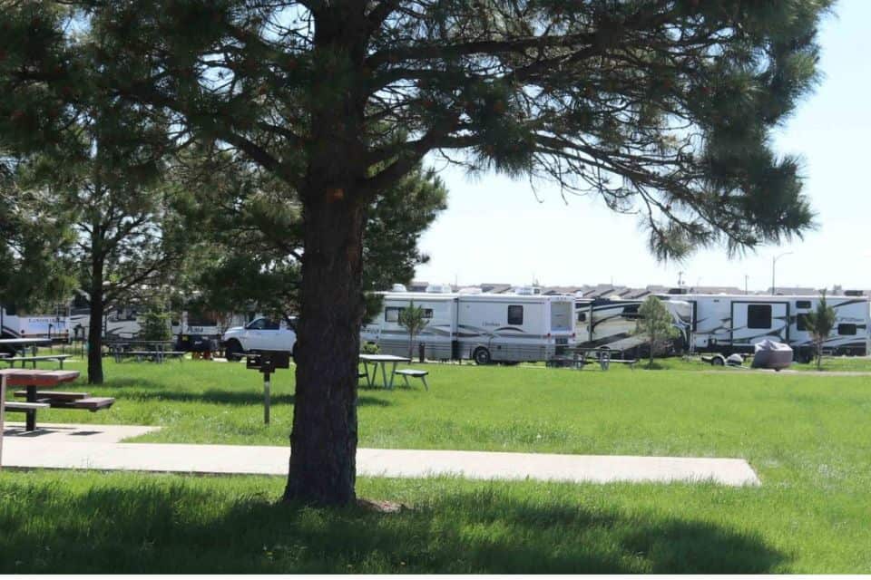 A row of campervans parked next to a grassy area with trees
