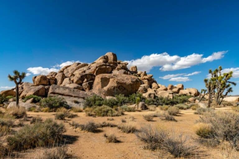 A large rock formation in a desert with joshua trees on either side