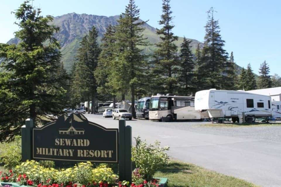 recreational vehicles parked in a row with a large mountain in the background