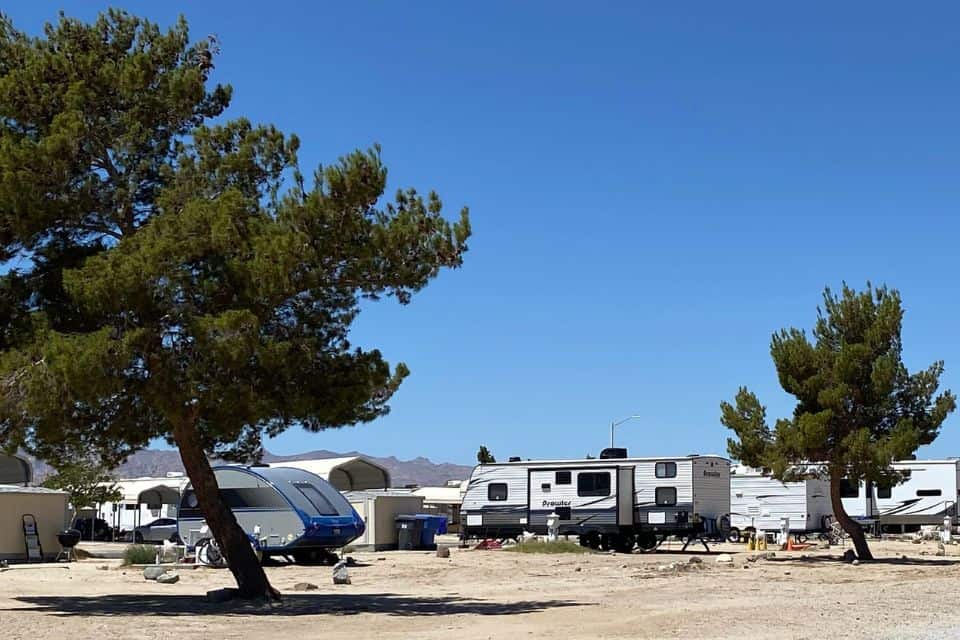 Recreational vehicles parked side by side on a sandy lot with sparse trees