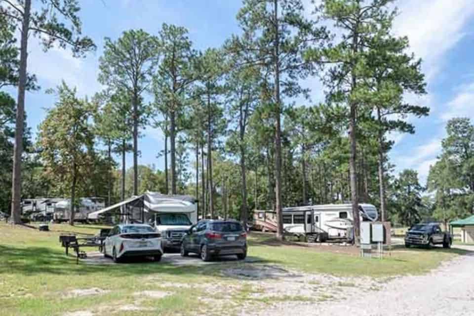Cars and recreational vehicles parked in large spaces in a wooded area