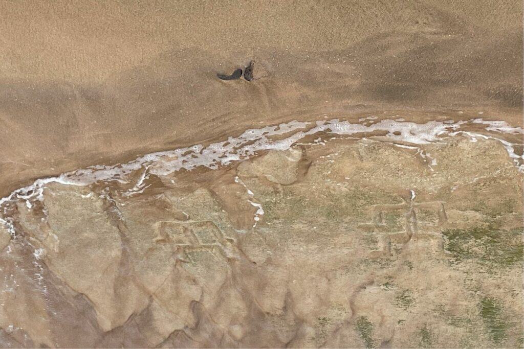 Ancient Hawaiian petroglyphs carved into shoreline rock at Pokai Bay, partially covered by sand and seawater.