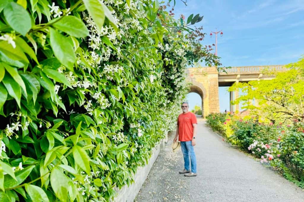 Retired veteran walking past lush greenery near a historic bridge in Castillon-la-Bataille