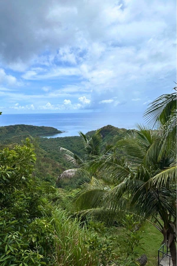 Lush, tropical landscape in southern Guam with ocean views and rolling hills seen through palm trees on a partly cloudy day.