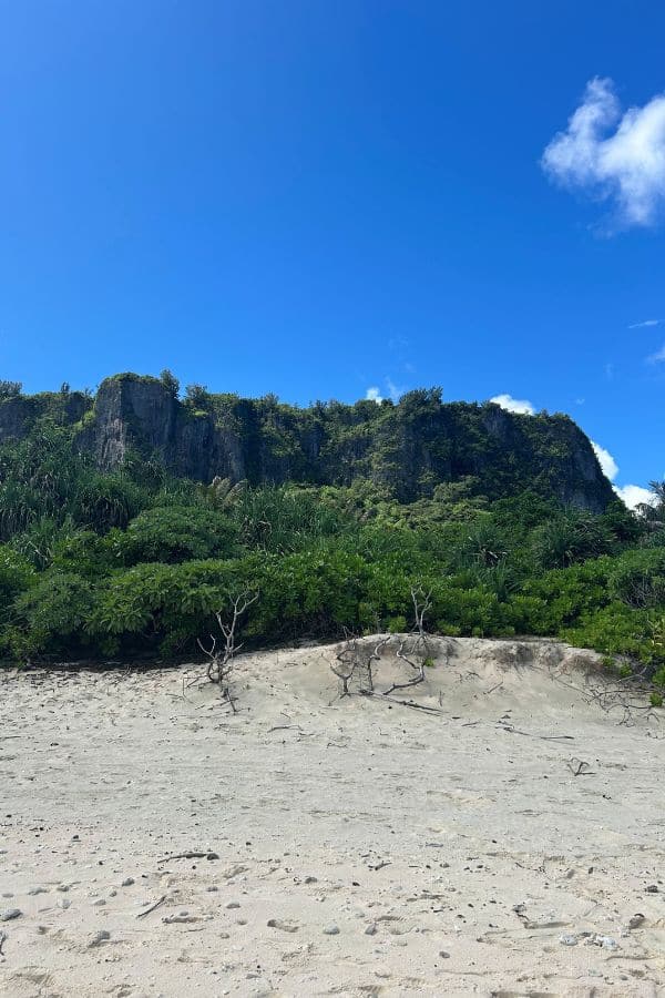 Sandy beach and limestone cliffs at Guam National Wildlife Refuge, surrounded by dense greenery and a bright blue sky