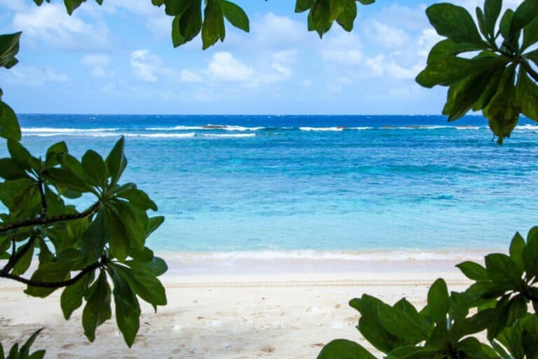 one of guam's beautiful beaches, as seen through nearby foliage