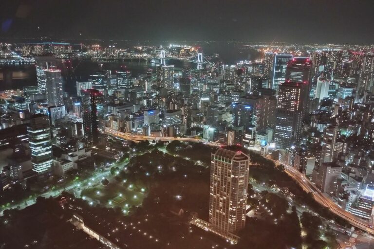 Tokyo skyline at night with illuminated buildings and Rainbow Bridge in the distance.