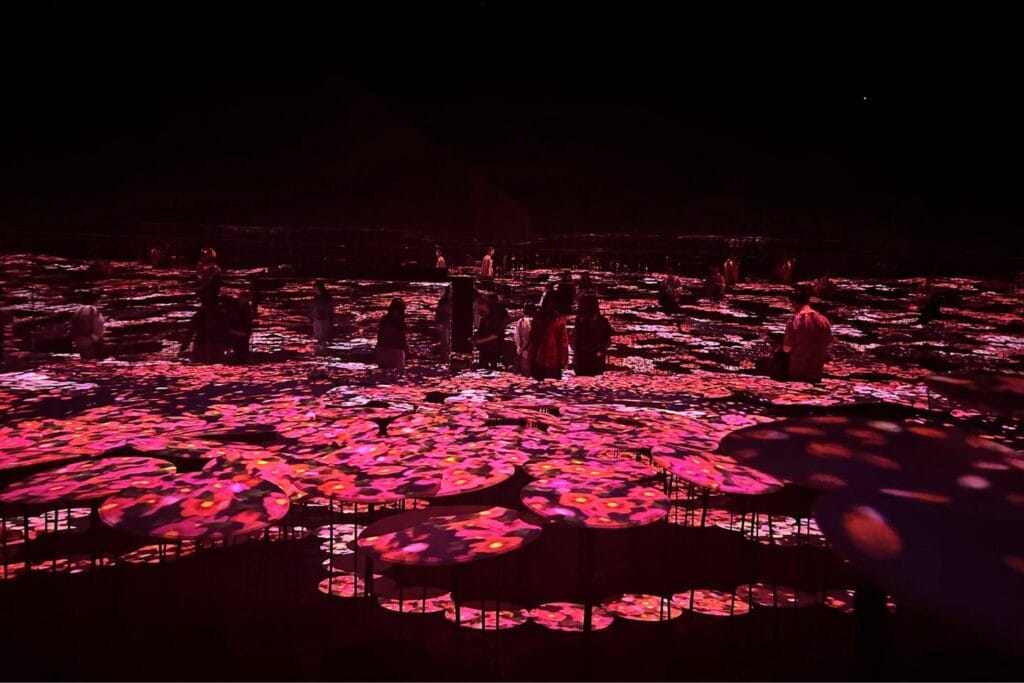 Visitors walking through immersive digital art installations at teamLab Borderless in Tokyo.