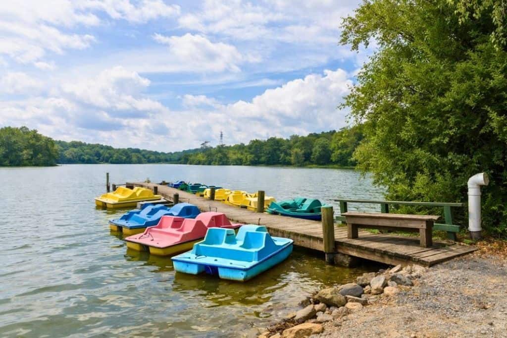 Colorful paddle boats docked along the shoreline at Killens Pond State Park in Delaware.