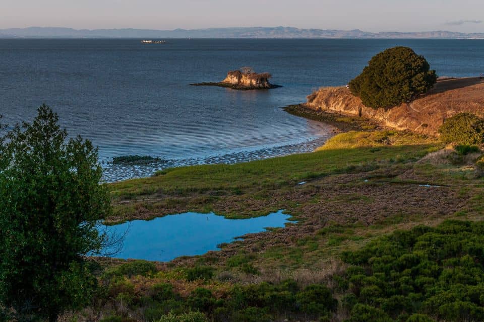 Quiet San Pablo Bay shoreline with marsh grass, small rocky islands, and hills across the water