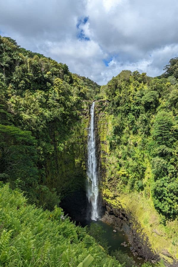 A tall waterfall cascading through a rainforest
