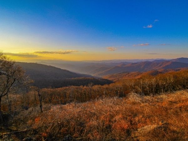 Mountain treetop views - book a winter rental in Asheville