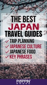 Link to Pinterest: The Best Japan Travel Guides