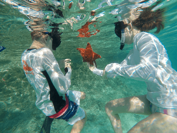 Underwater view of two kids viewing starfish while snorkeling
