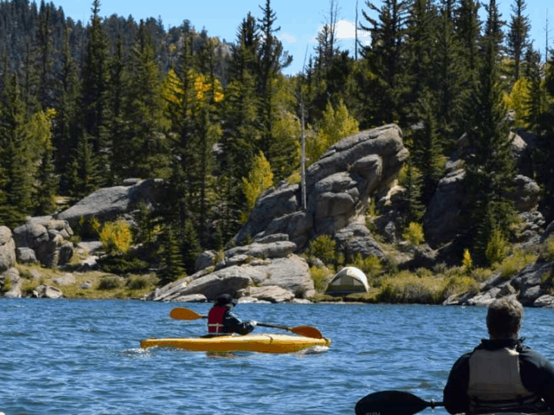 A kayaker paddling in the water with woods in the background