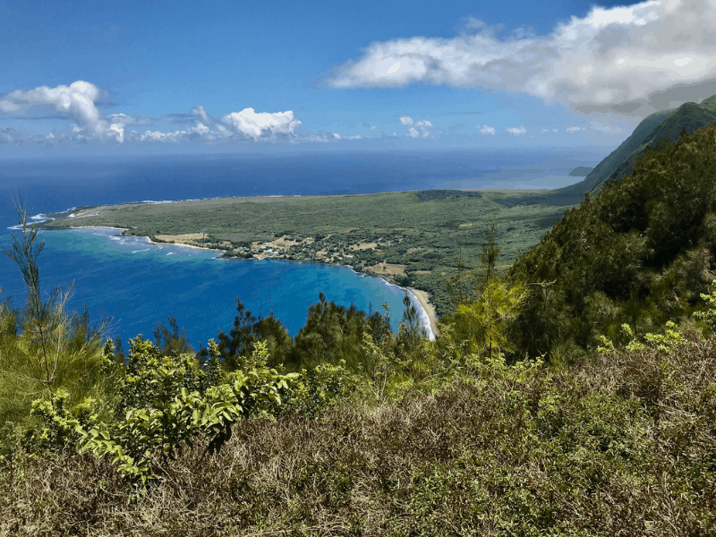 View of the Pacific Ocean from a mountain overlook