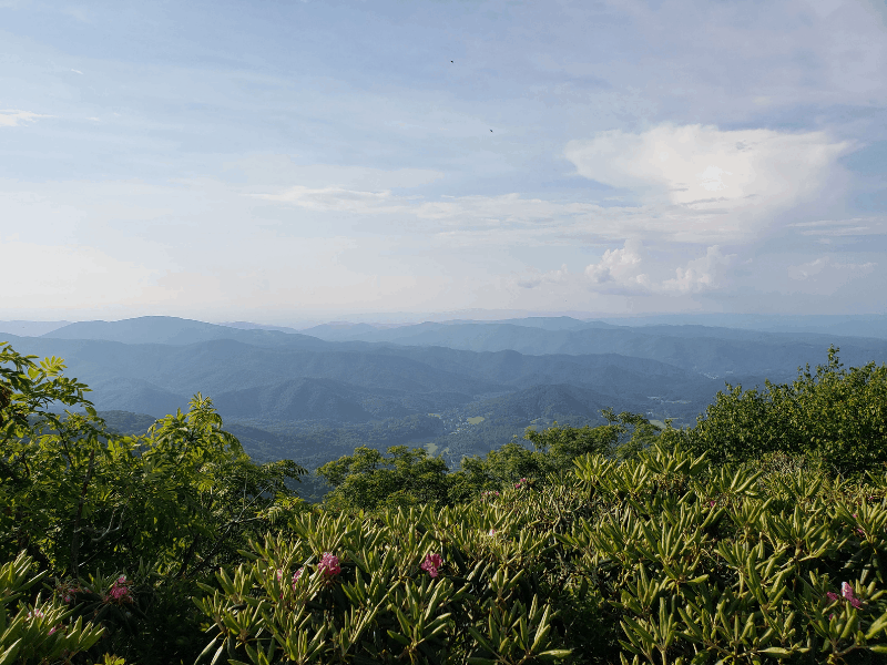 Panoramic view of East Tennessee from Roan Mountain