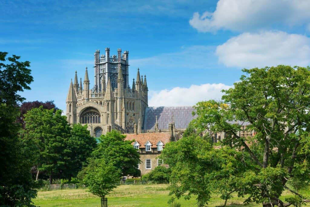 A cathedral viewed through trees