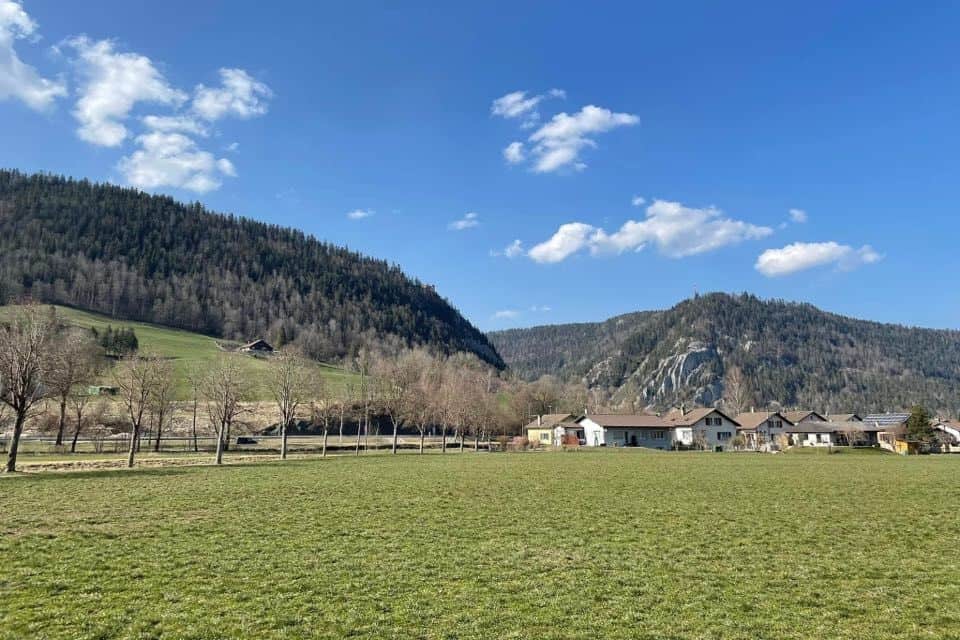 Rural homes with foothills in the background