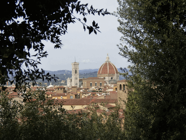 View of the Duomo through trees