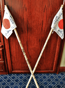 Mt Fuji walking sticks