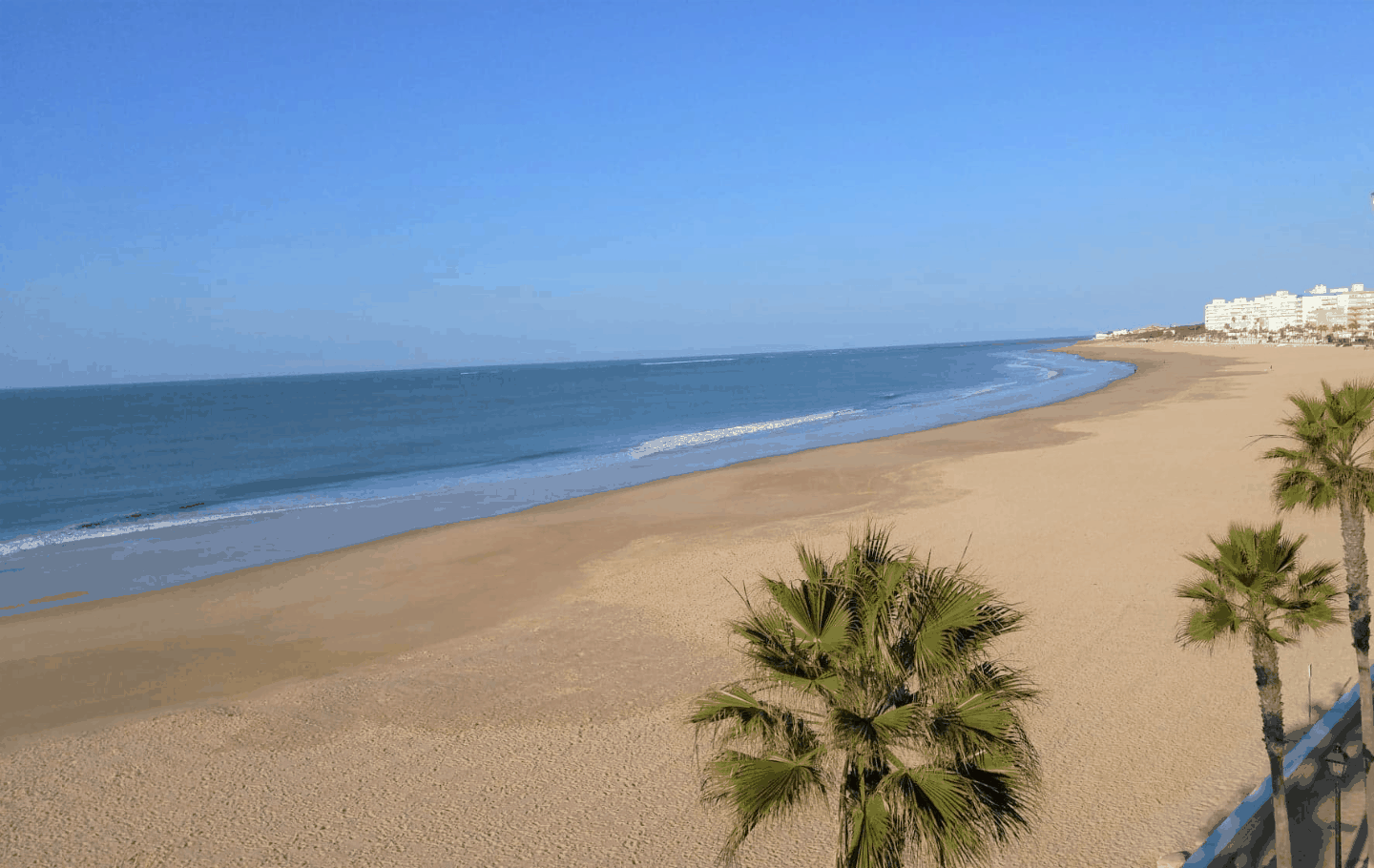A long stretch of wide, sandy beach and palm trees in Rota, Spain