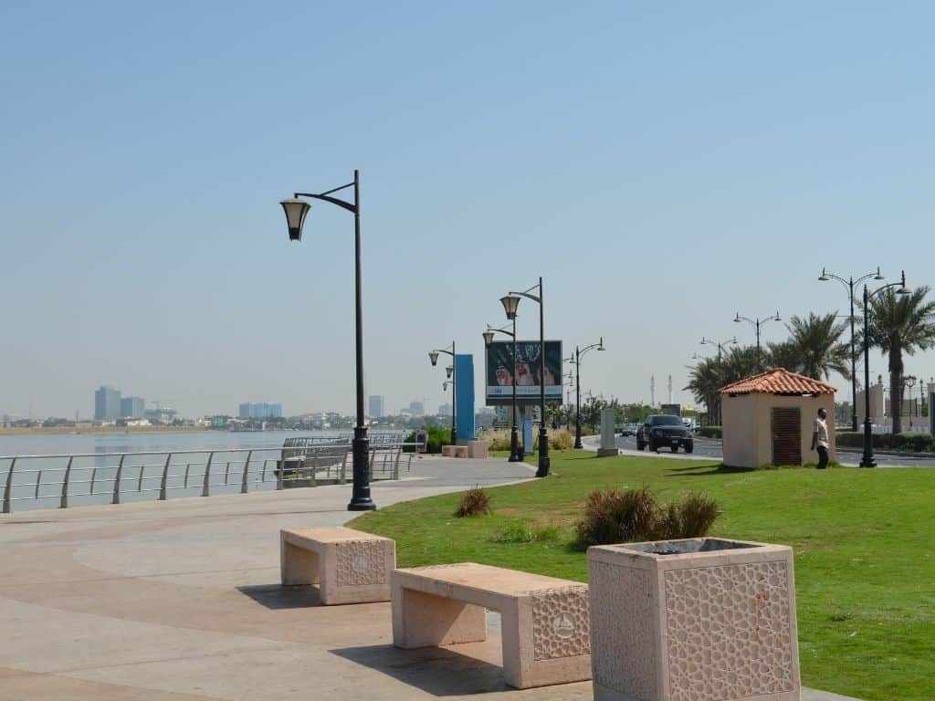 A park on the waterfront with palm trees and buildings in the background