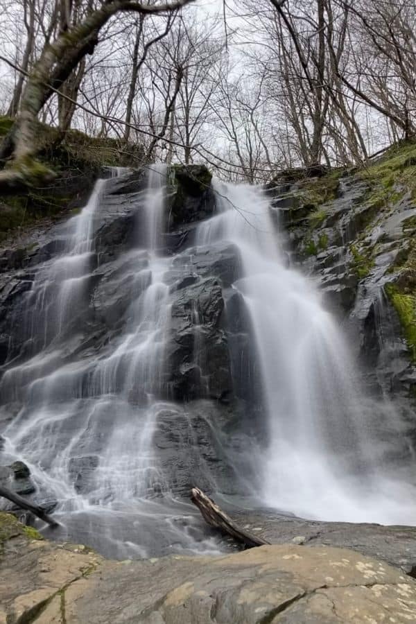 A waterfall flowing down rocks with bare trees in the background