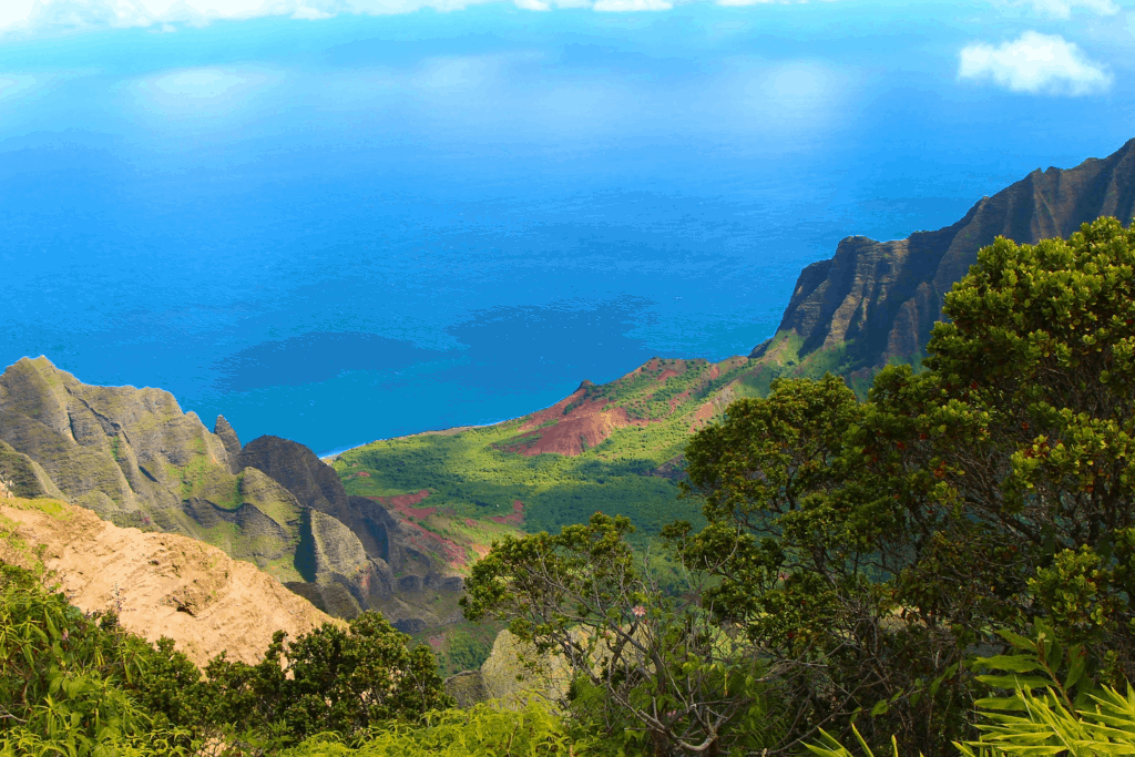 A lush green canyon descending into the ocean