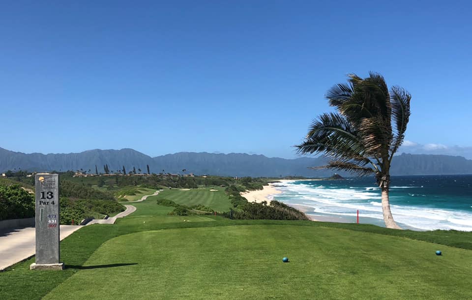 The 13th hole of a golf course overlooking the beach with a palm tree blowing in the wind
