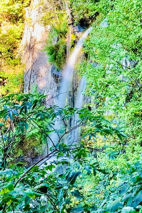 A waterfall surrounded by greenery