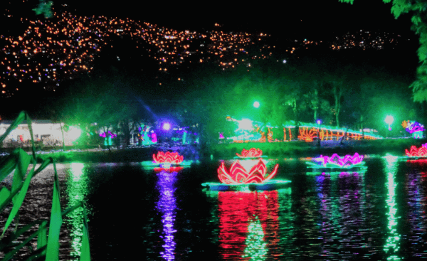 Multi-colored lights in the water during the holiday light show in Medellin