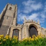 Yellow daffodils in front of a cathedral